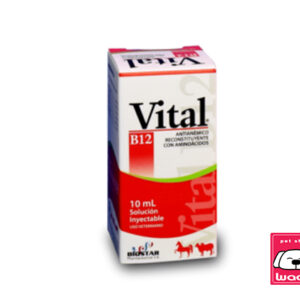 VITAL B12 10 ML INYECTABLE