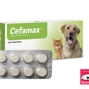 CEFAMAX BLISTER 10 TABLETAS 250 MG  (CEFALEXINA )